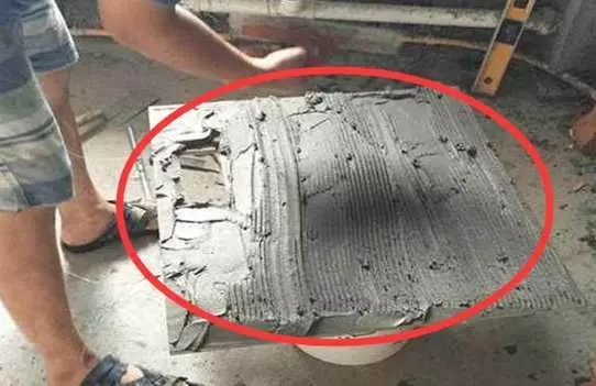 74.webp.jpg 74.webp.jpg